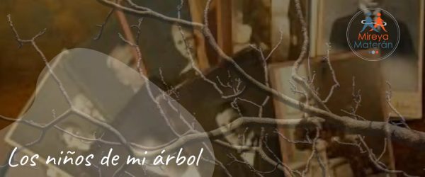 ninos-de-mi-arbol